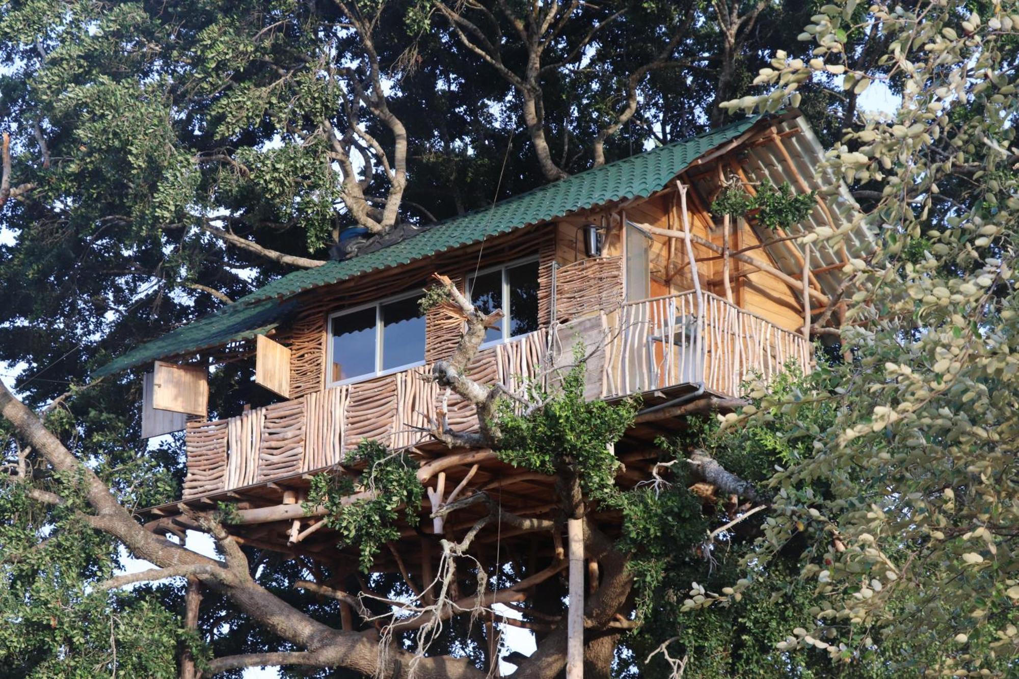 Yala Dream Park Hotel Exterior foto